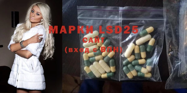 хмурый Алзамай