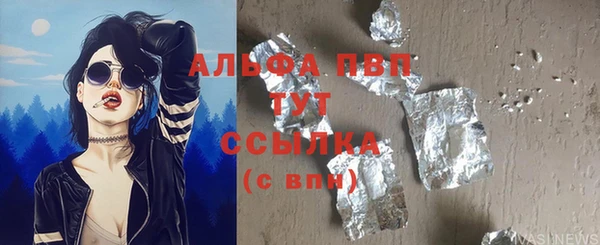 хмурый Алзамай